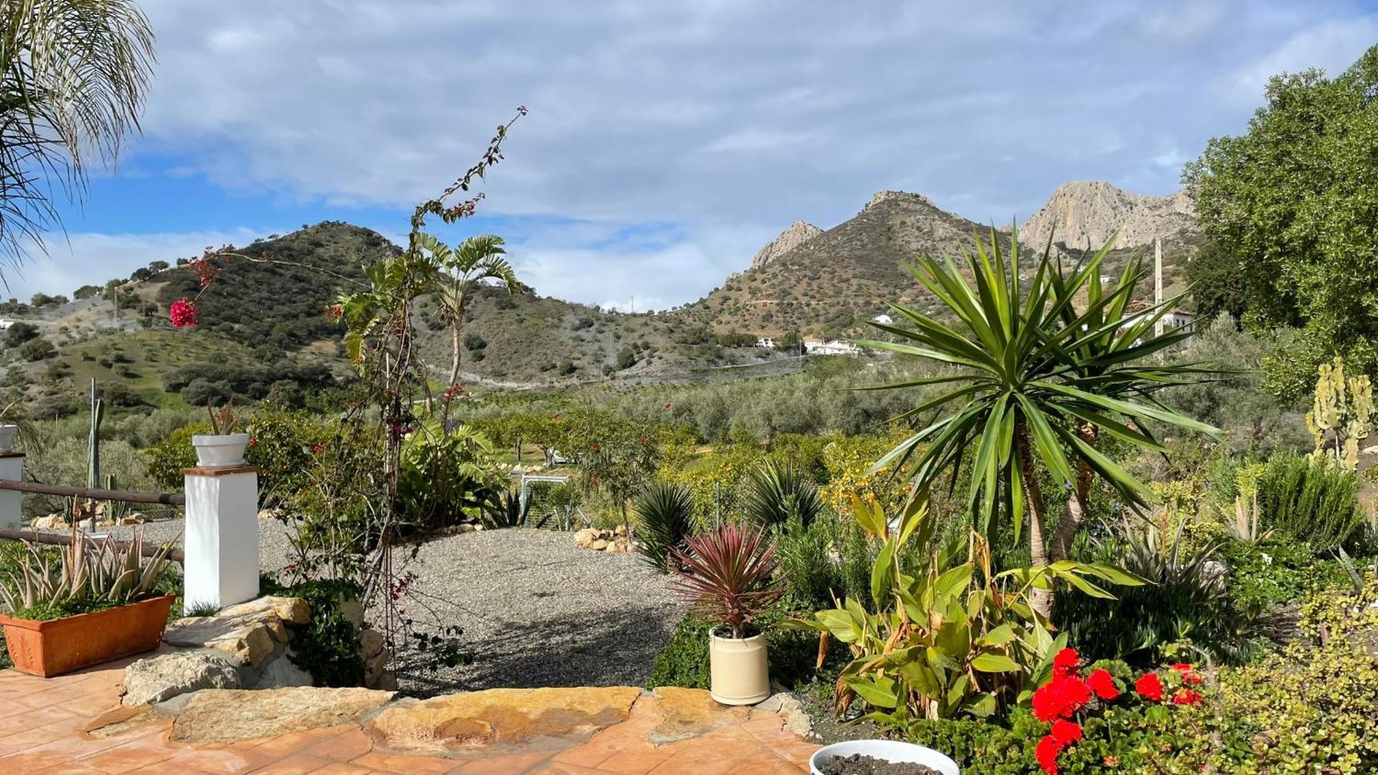 Finca Valle Verde 埃尔乔罗 外观 照片