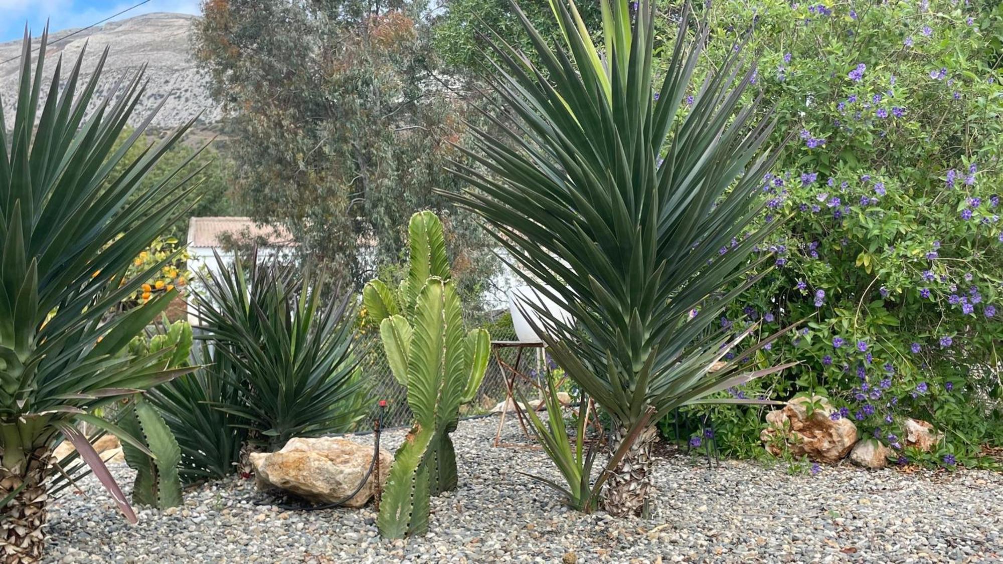 Finca Valle Verde 埃尔乔罗 外观 照片