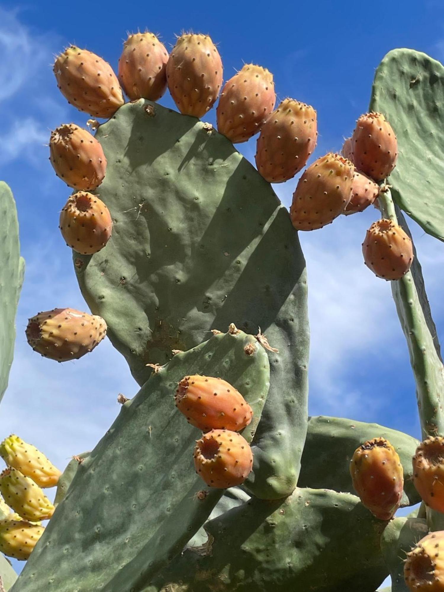 Finca Valle Verde 埃尔乔罗 外观 照片