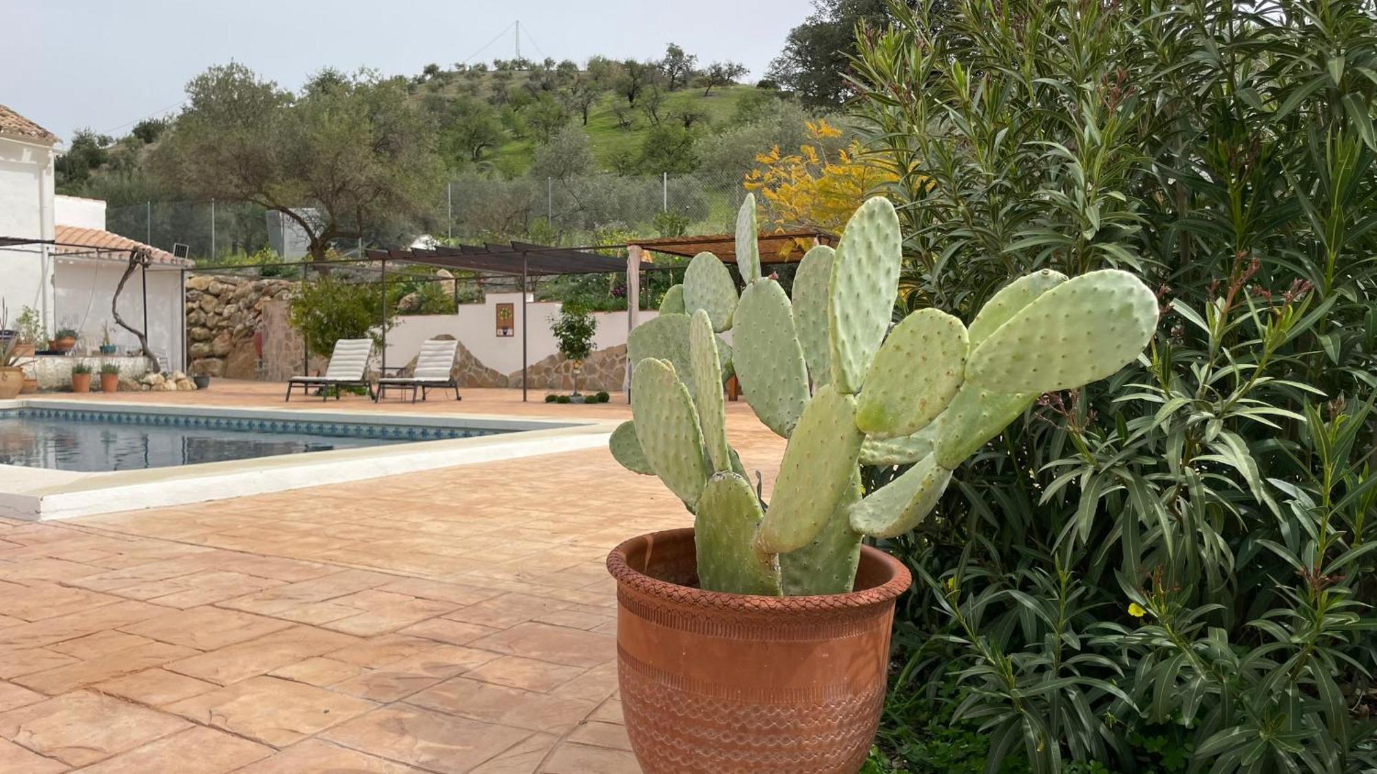 Finca Valle Verde 埃尔乔罗 外观 照片