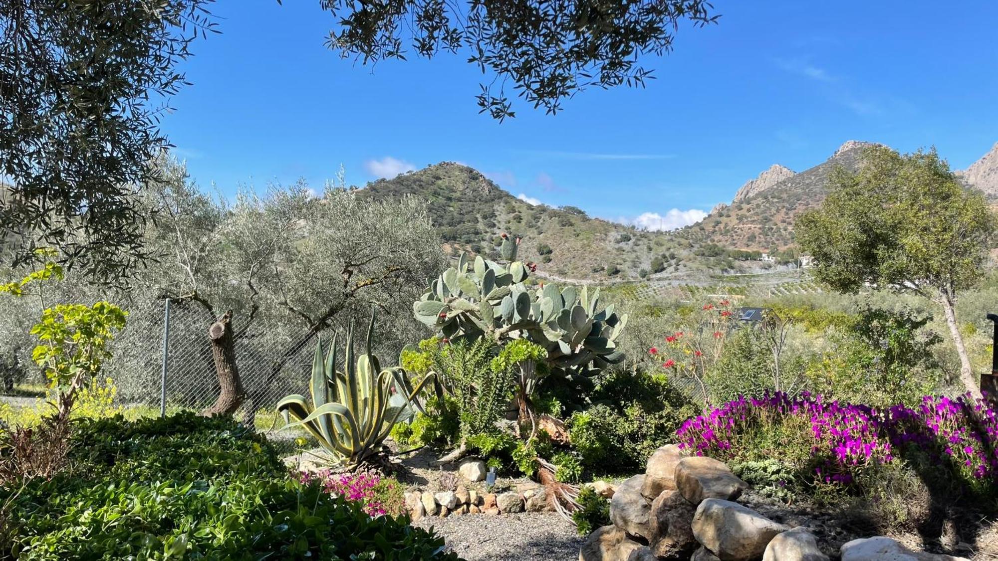 Finca Valle Verde 埃尔乔罗 外观 照片