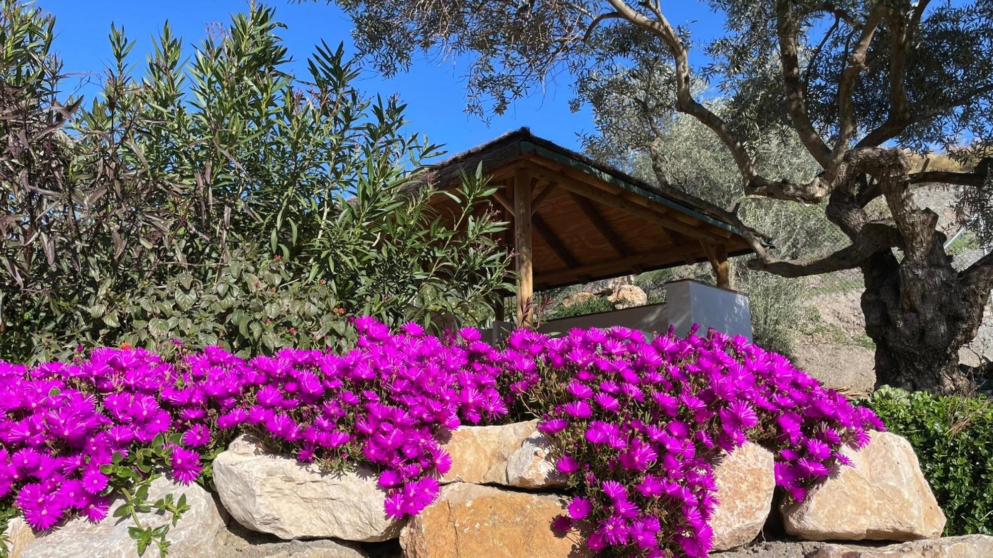 Finca Valle Verde 埃尔乔罗 外观 照片