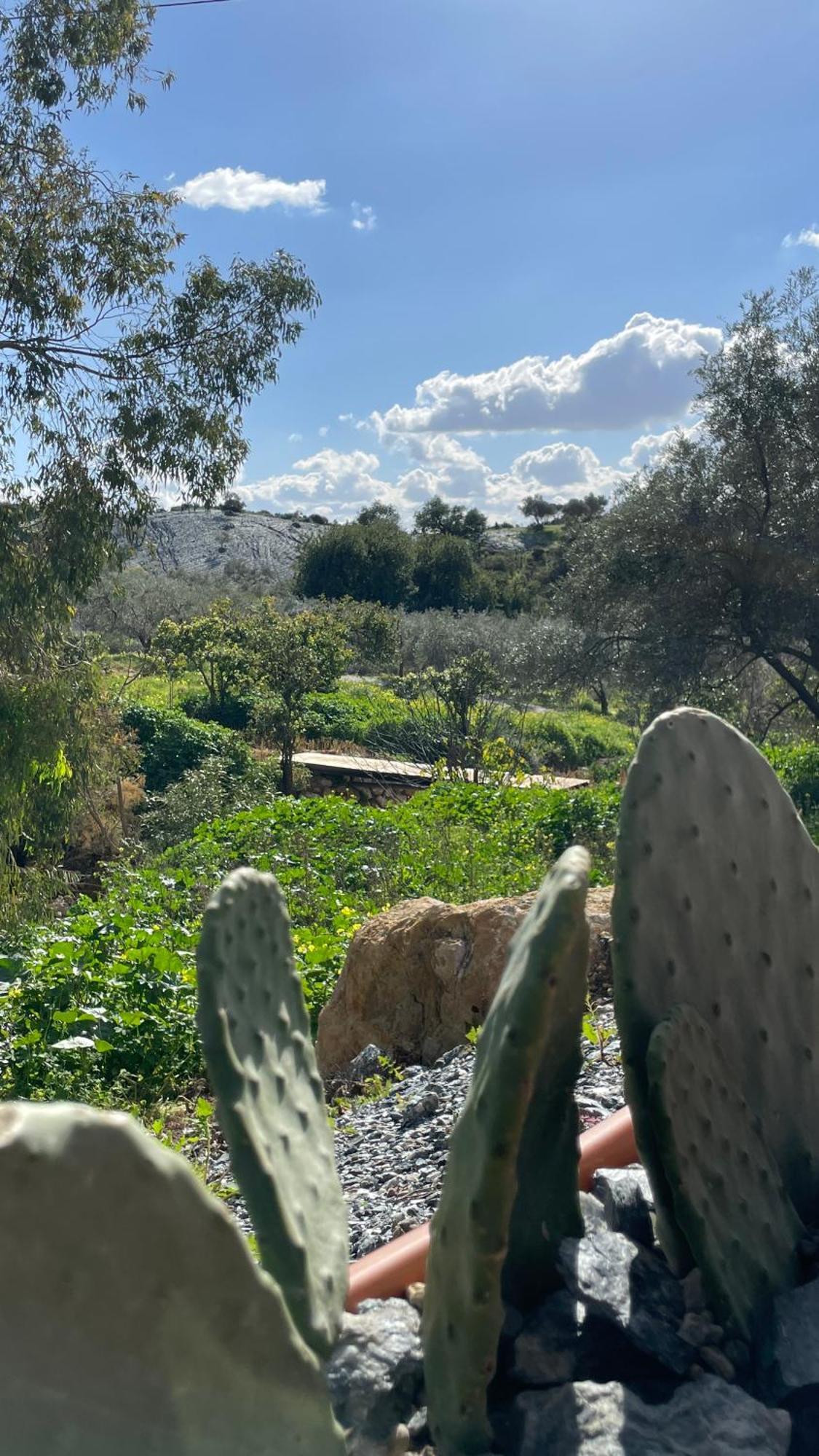 Finca Valle Verde 埃尔乔罗 外观 照片